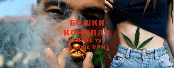 бошки Белокуриха