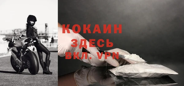 бошки Белокуриха