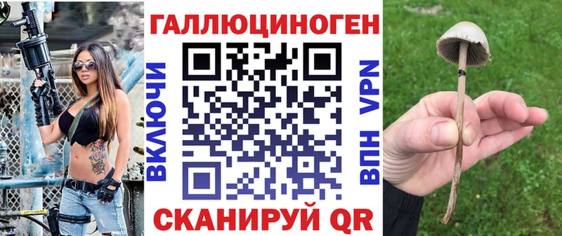 ссылка на мегу рабочий сайт  Волгореченск  Псилоцибиновые грибы мухоморы 